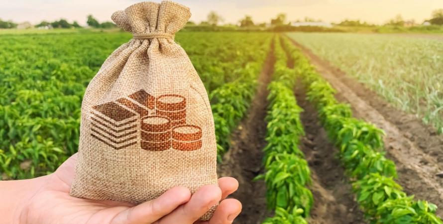 Bienvenidos a Harvest Bank: Empoderando a los agricultores con soluciones financieras